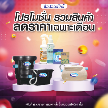 โปรโมชั่น