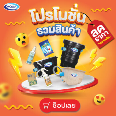 โปรโมชั่น