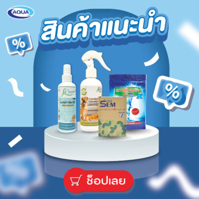 สินค้าแนะนำ